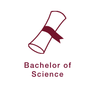 Bachelor of Science Icon