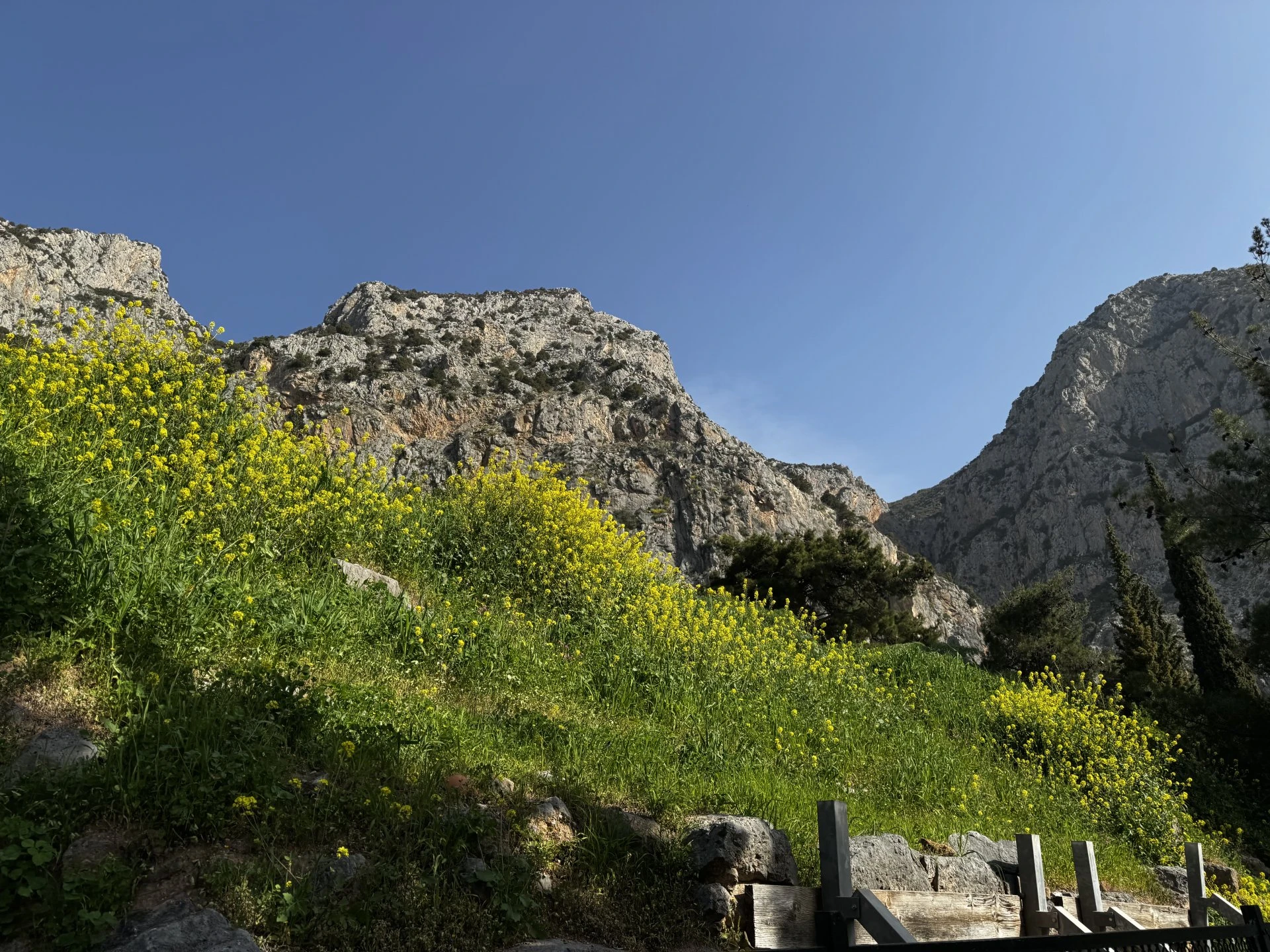 a wooden walkway leads up to the top of a mountain