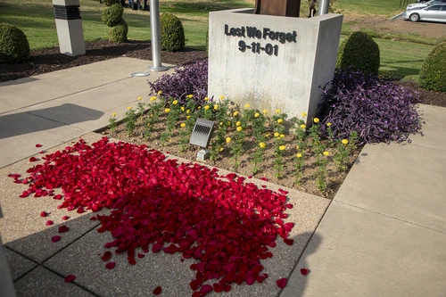 Rose petals on ground in front of memorial.