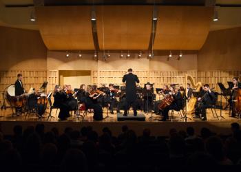Orchestra Performing