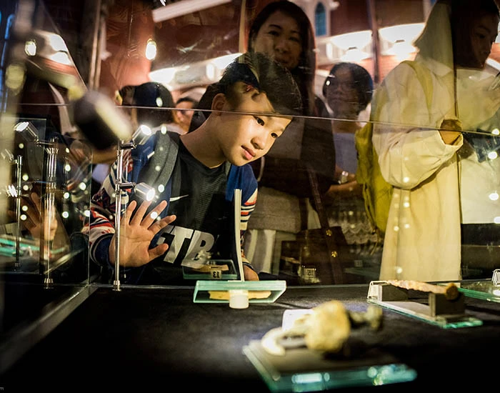 Child looking at artifacts.