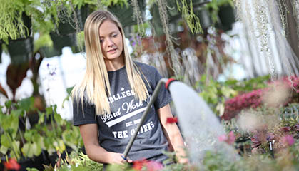 Student watering flowers in greenhouses.