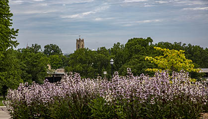 Flower and trees with chapel bell tower in background