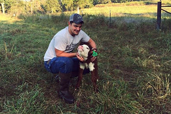 Student petting a calf