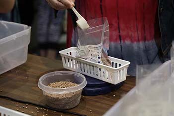 Ingredients for Red Lentil Jambalaya
