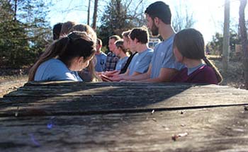 Students participating in a challenge course