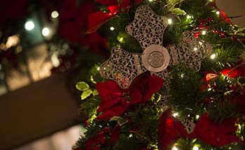 Christmas decoration