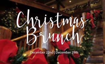 Christmas brunch logo