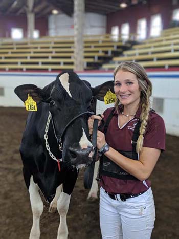 Student showing a dairy cow