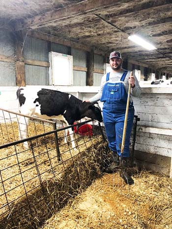 Caden Peterson, residence hall director for Youngman Hall, helps in the dairy barn. He has learned to care for the calves and the specific nutritional needs for each cow.
