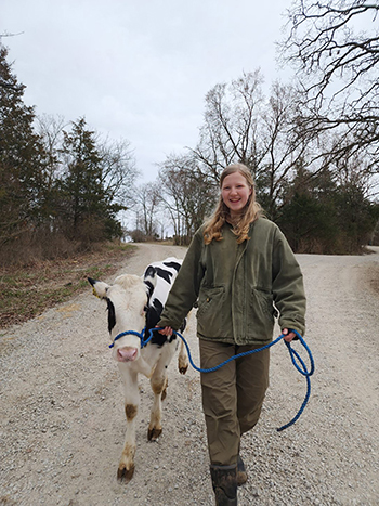 Lydia Inman, junior ecology and field biology major, walks Tiara, the calf she trained for the FFA Workshop. 