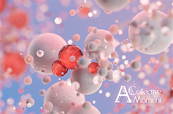 College of the Ozarks to host Senior Art Exhibit, “A Collective Moment,” April 24-28